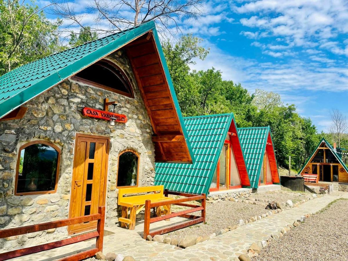 Catunu' Lui Emil Villa Carbunesti Exterior photo